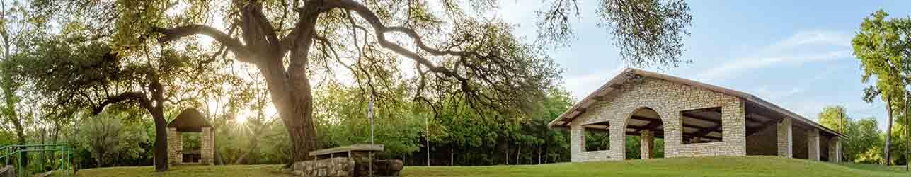 Tree with a building to the right of it