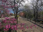 Picture of the Green Walking Bridge during the spring