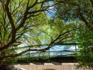 Salado Green Walking Bridge