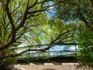 Salado Green Walking Bridge