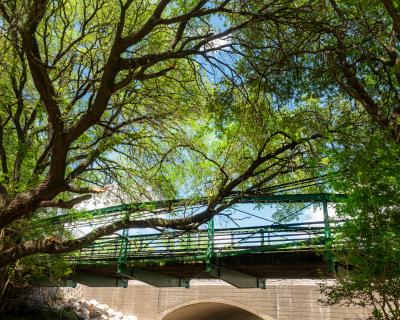 Picture of Green Walking Bridge on Main Street